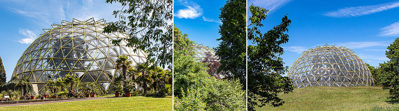 Das Kuppelgewächshaus im Botanischen Garten aus drei verschiedenen Perspektiven